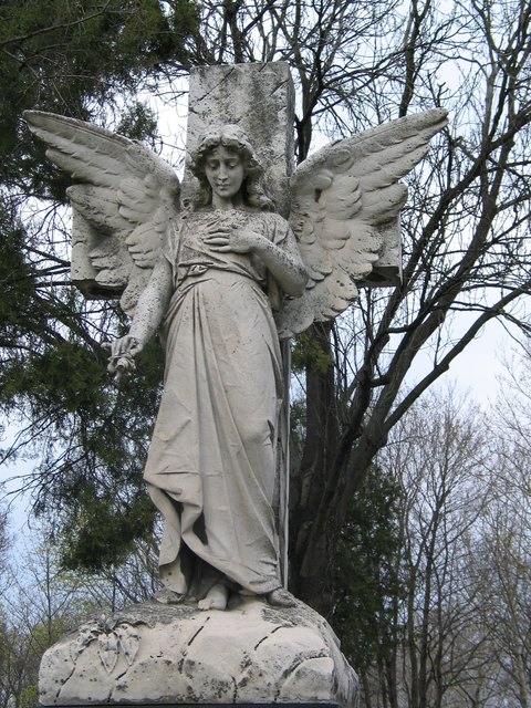 Zentralfriedhof