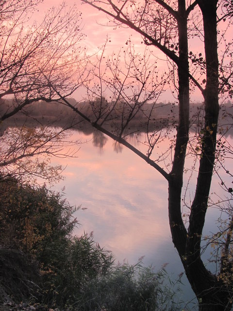 Der Teich am Wienerberg in seiner Pracht