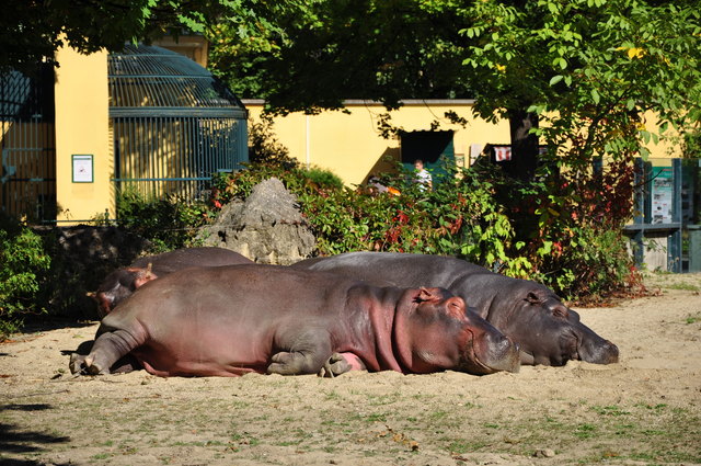 lazy days in der Herbstsonne