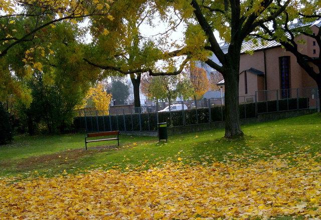 herbstliche Stimmung auf der Friedhofswiese in Erlaa