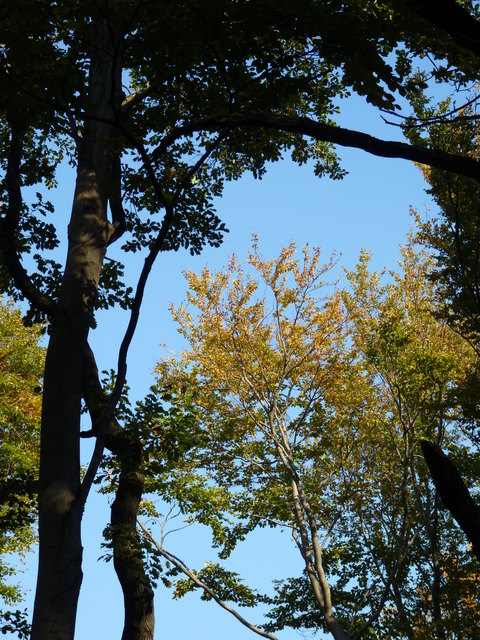 Ein sonniger Herbstag im Lainzer Tiergarten