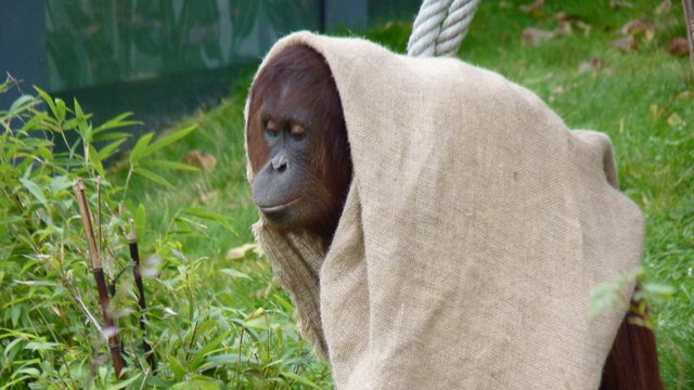 Ganz schön kalt heute im Tiergarten