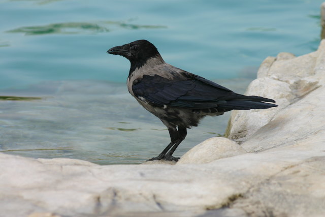 Besuch in Schönbrunn