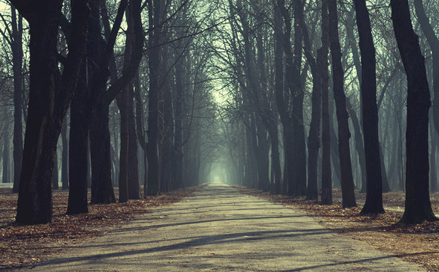 Endlose Prater Allee