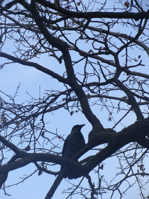 Halloween in der Praterallee :)
