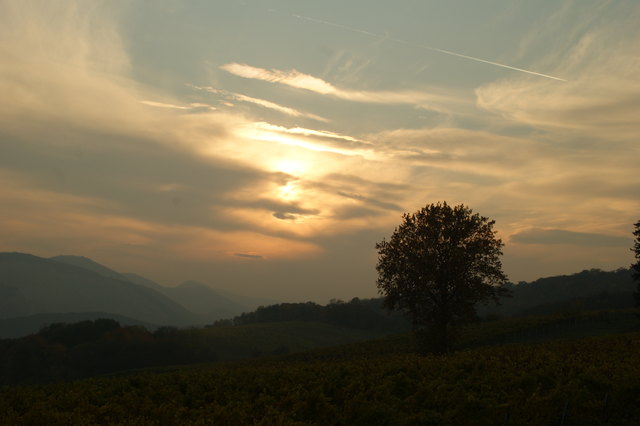 Sonnenuntergang Maurer Berg