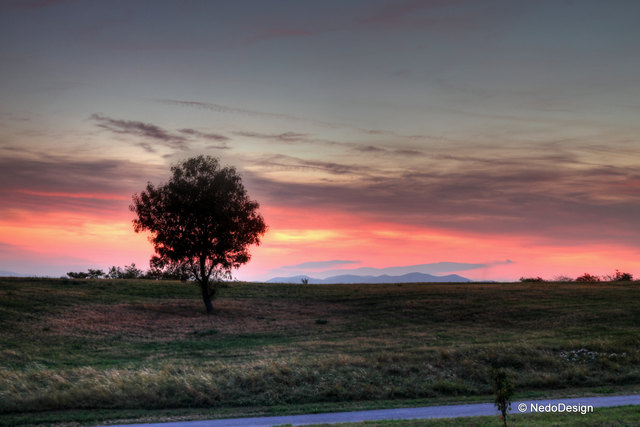 Natur in Wien (Favoriten 1100 Wien)