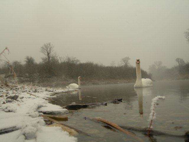 Winter in der Lobau