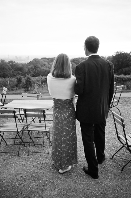 Blick vom Himmel über Wien