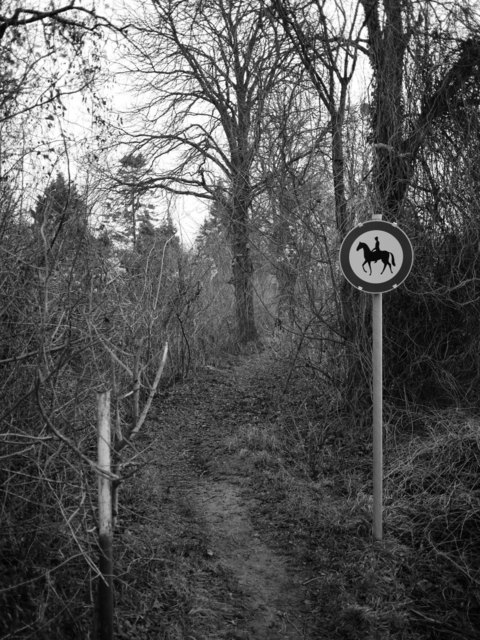 Auch das ist Wien - in der schönen Lobau.....