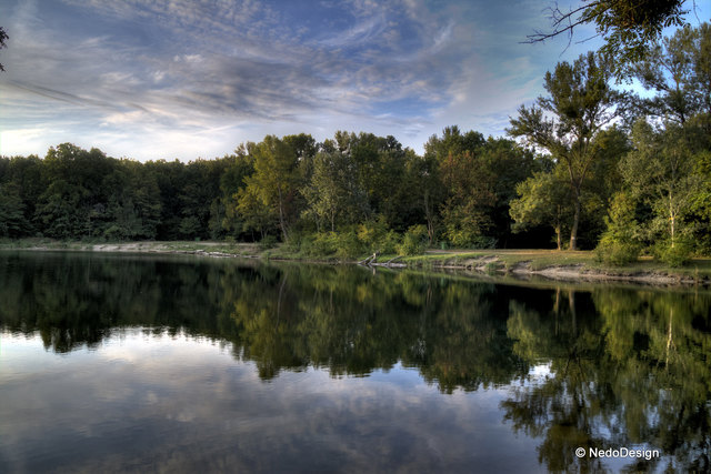 Spiegelung in der Lobau