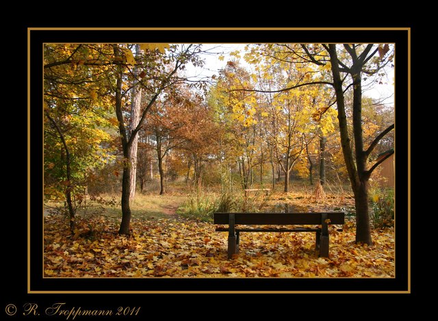 sonniger Herbstspaziergang in Strasshof (Naturfreunde Biotop)