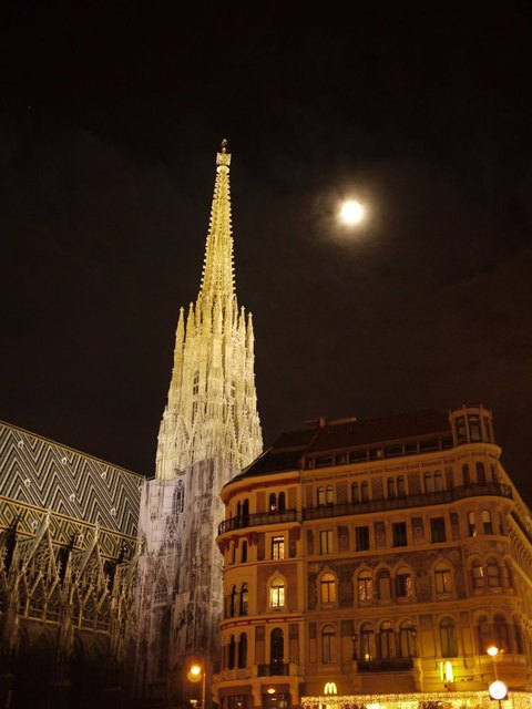 Stephansdom bei Vollmond