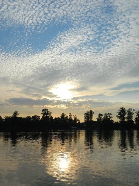 SOnnenuntergang an der Alten Donau