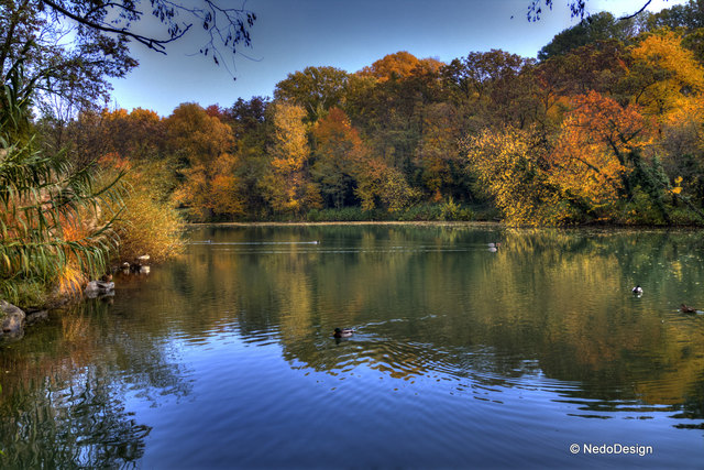 Natur in Wien (Oberlaa Park)