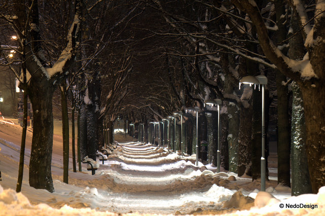 Bald kommt der Winter..