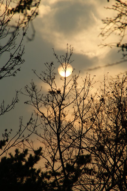 Sonne über den Steinhofgründen