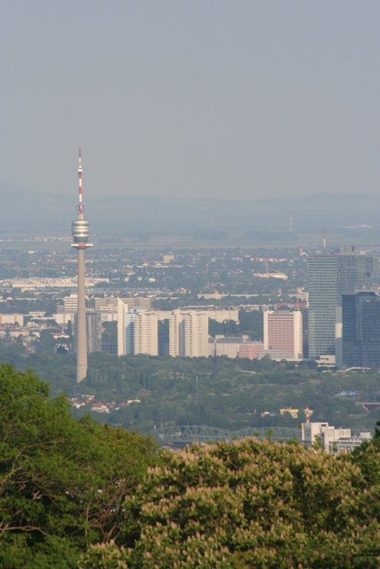 mein Wien (Blick von der Himmelswiese)