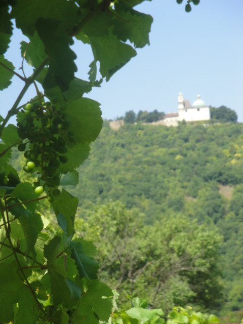 Blick vom Nußberg auf den Leopoldsberg