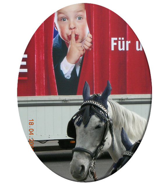 Pst, mein Pferdchen schläft am Heldenplatz