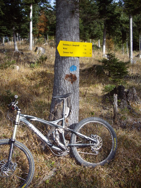 Singletrails kufstein