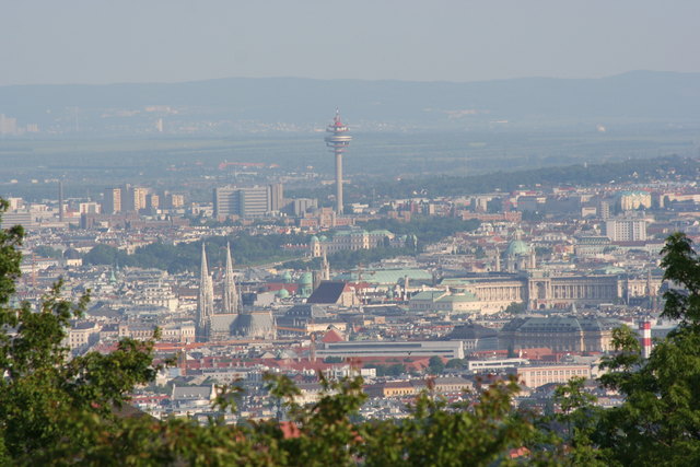 mein Wien (Blick von der Himmelswiese)