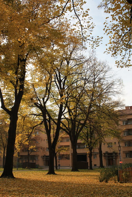 der herbst ist im Karl max hof