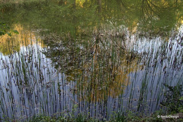 Natur in Wien (Oberlaa Park)