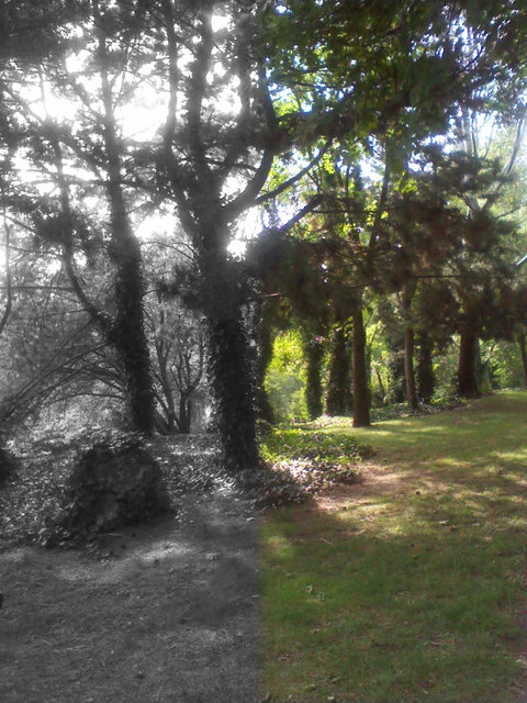 Oberlaa, das letzte Paradies