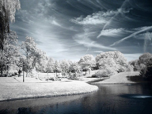 Wintermärchen im Kurpark Oberlaa im Oktober