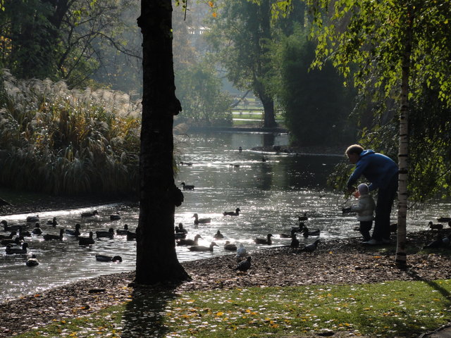 Das Füttern der Wasservögel im Stadtpark ist verboten!