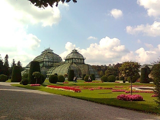 Palmenhaus