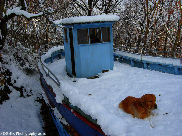 Arche Aurora und Leopold