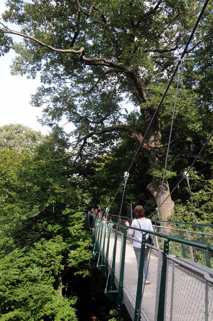Der Baumkronenpfad (in Schönbrunn)