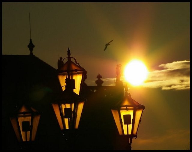 Schönbrunn im Licht