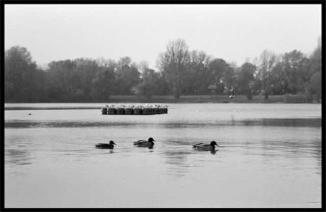 Badeteich Hirschstetten