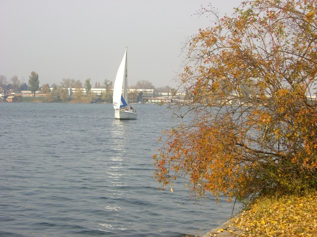Herbst an der "Alten Donau"