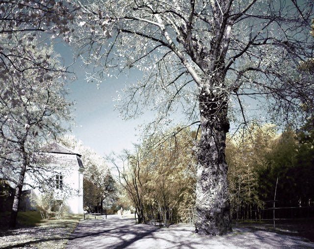 Botanischer Garten im November