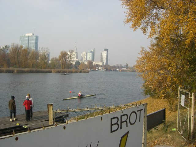Rudern an der Alten Donau im  Herbst