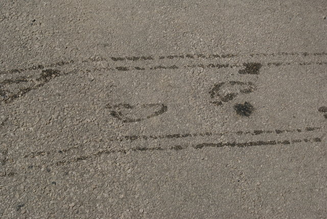 Spuren im Burggarten