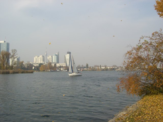 Mein Wien im Herbst an der '"'Alten Donau"