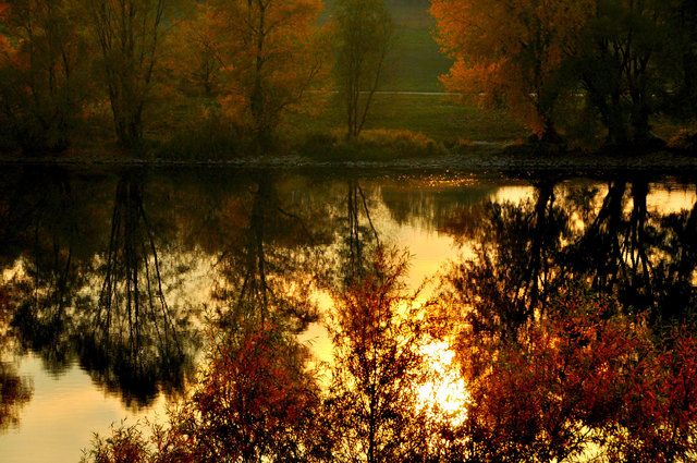 Donauinsel im Herbst