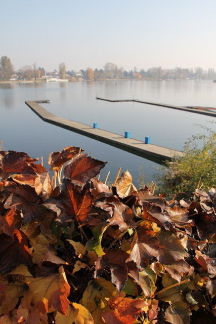 Herbst an der Alten Donau von Eva Maria Kunz