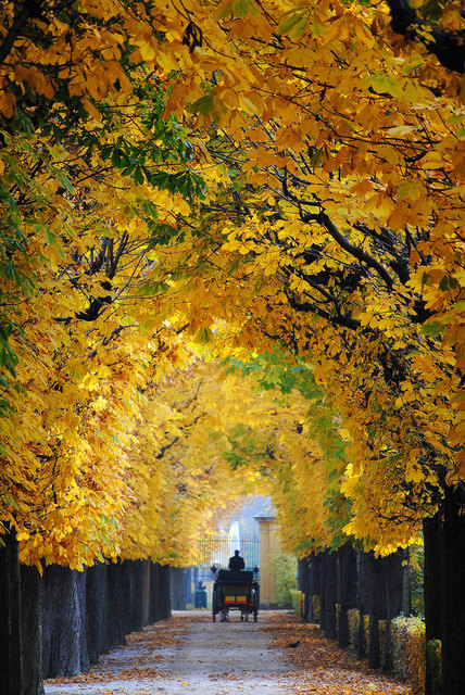 Herbst in Schönbrunn