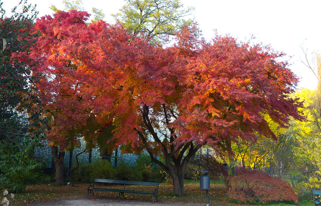 Mein wunderschönes, farbenfrohes Wien