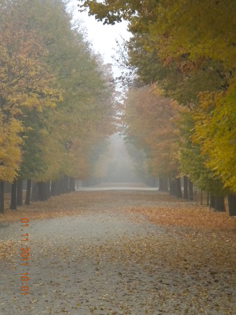 Schloßpark Schönbrunn