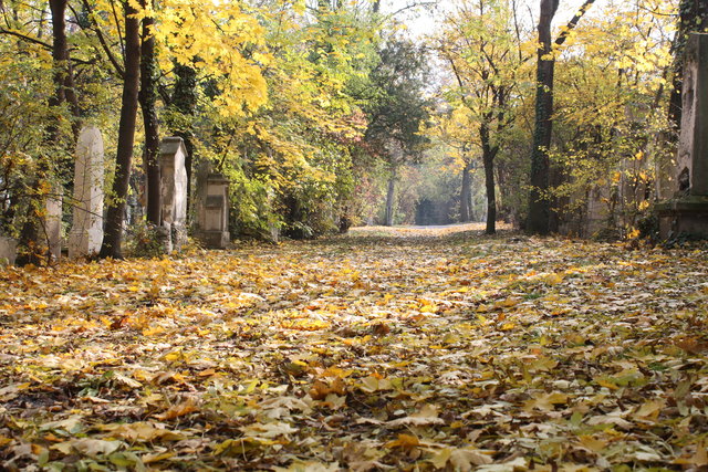 Herbstliches Farbenspiel am St. Marxer Friedhof...