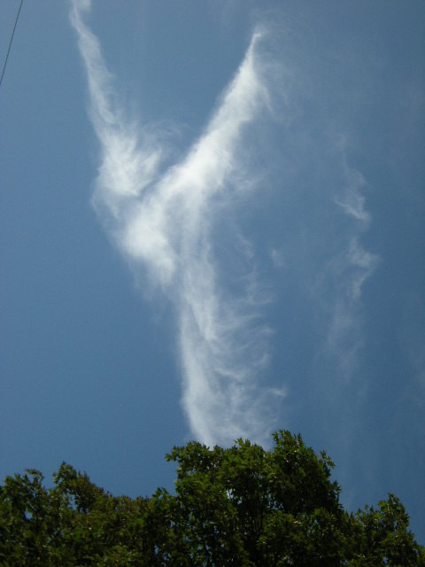 Engel über der Brigitta Kirche