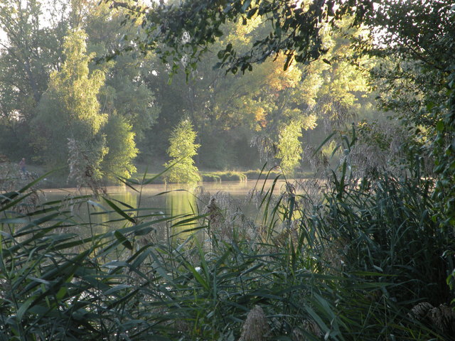 Das Mühlwasser ist zu jeder Jahreszeit einer der schönsten Orte der Erde