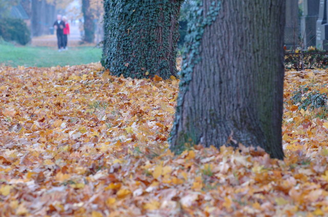 Wiener Zentralfriedhof im Herbst - auch von Aktiven gerne besucht - dieser Friedhof sucht seinesgleichen